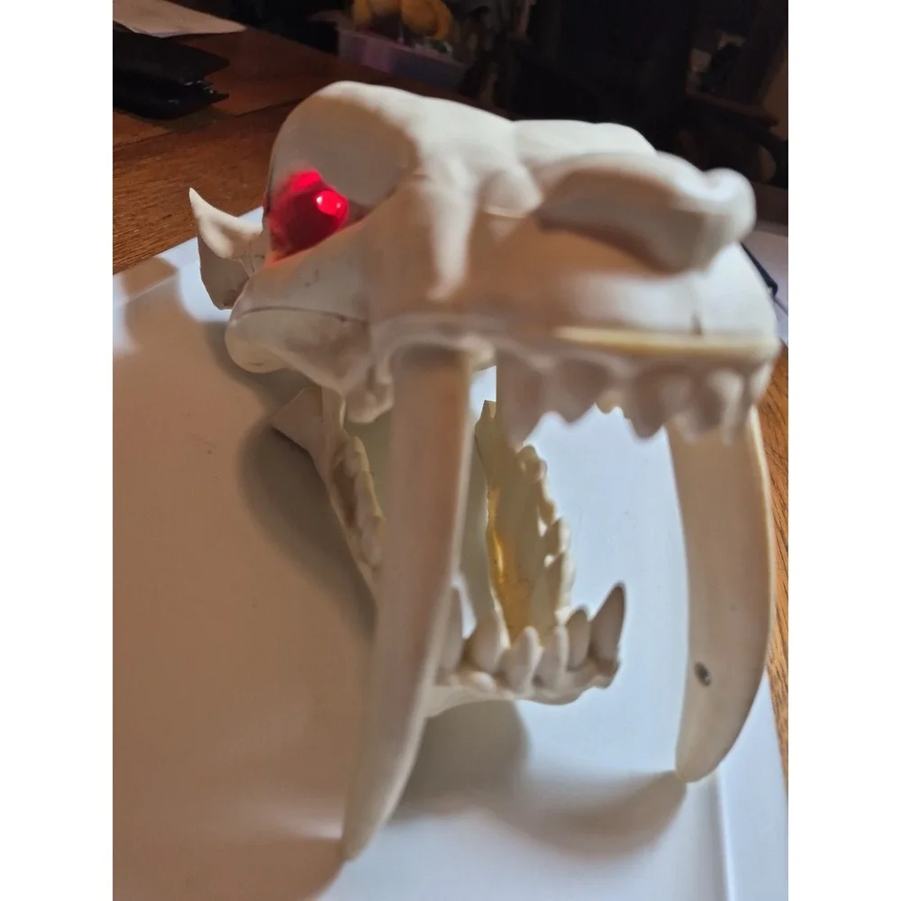 Sabre Tooth Tiger Skull Motorized Roars And Moves Mouth Halloween Decorations